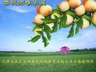 ֹ,󷨵ӹ編ִʦ𻪵(24)
