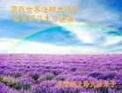 ֹ,󷨵ӹ編ִʦ𻪵(24)
