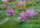 ֹ,ʡ󷨵ӹ編ִʦ𻪵(23)
