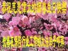 ֹ,󷨵ӹ編ִʦ𻪵(24)
