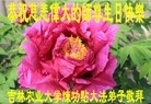 ֹ,󷨵ӹ編ִʦ𻪵(24)
