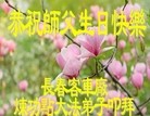 ֹ,󷨵ӹ編ִʦ𻪵(24)

