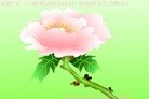 ֹ,󷨵ӹ編ִʦ𻪵(24)
