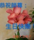 ֹ,󷨵ӹ編ִʦ𻪵(26)
