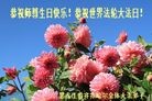 ֹ,󷨵ӹ編ִʦ𻪵(23)
