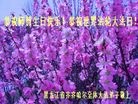 ֹ,󷨵ӹ編ִʦ𻪵(23)
