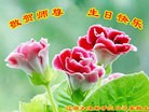 ֹ,ʡ󷨵ӹ編ִʦ𻪵(24)
