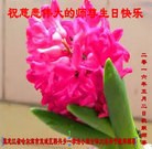 ֹ,󷨵ӹ編ִʦ𻪵(23)
