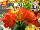 ֹ,ʡ󷨵ӹ編ִʦ𻪵(23)

