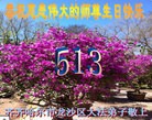 ֹ,󷨵ӹ編ִʦ𻪵(23)
