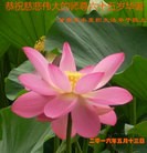 ֹ,󷨵ӹ編ִʦ𻪵(26)
