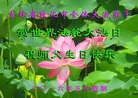 ֹ,ʡ󷨵ӹ編ִʦ𻪵(24)
