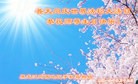 ֹ,󷨵ӹ編ִʦ𻪵(24)
