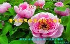 ֹ,󷨵ӹ編ִʦ𻪵(23)
