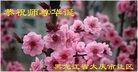ֹ,󷨵ӹ編ִʦ𻪵(23)
