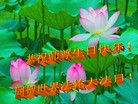 ֹ,㶫󷨵ӹ編ִʦ𻪵(24)

