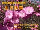 ֹ,ľ˹󷨵ӹ編ִʦ𻪵(20)

