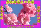 ֹ,󷨵ӹ編ִʦ𻪵(25)
