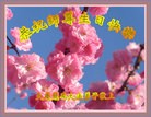 ֹ,󷨵ӹ編ִʦ𻪵(25)
