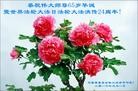ֹ,󷨵ӹ編ִʦ𻪵(23)
