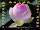 ֹ,󷨵ӹ編ִʦ𻪵(23)
