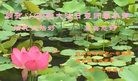 ֹ,ɶ󷨵ӹ編ִʦ𻪵(25)
