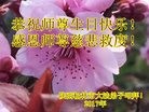 ֹ,󷨵ӹ編ִʦ𻪵(26)