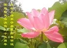 ֹ,󷨵ӹ編ִʦ𻪵(19)
