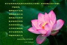 ֹ,󷨵ӹ編ִʦ𻪵(23)