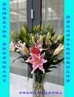 ֹ,󷨵ӹ編ִʦ𻪵(21)