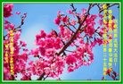 ֹ,ɹŴ󷨵ӹ編ִʦ𻪵(20)