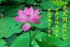 ֹ,д󷨵ӹ編ִʦ𻪵(21)