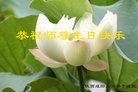 ֹ,󷨵ӹ編ִʦ𻪵(24)