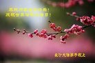 ֹ,ɳ󷨵ӹ編ִʦ𻪵(23)