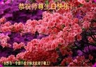 ֹ,ɳ󷨵ӹ編ִʦ𻪵(23)