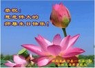 ֹ,ɳ󷨵ӹ編ִʦ𻪵(23)