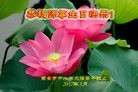 ֹ,󷨵ӹ編ִʦ𻪵(23)
