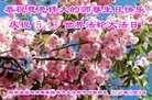 ֹ,󷨵ӹ編ִʦ𻪵(21)