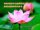 ֹ,󷨵ӹ編ִʦ𻪵(23)