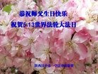 ֹ,󷨵ӹ編ִʦ𻪵(21)