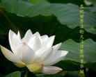 ֹ,ʡ󷨵ӹ編ִʦ𻪵(26)
