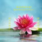 ֹ,ɶ󷨵ӹ編ִʦ𻪵(27)