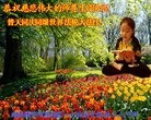 ֹ,ϴ󷨵ӹ編ִʦ𻪵(25)