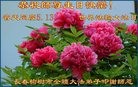 ֹ,󷨵ӹ編ִʦ𻪵(22)