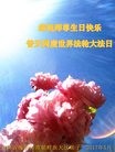 ֹ,ʡ󷨵ӹ編ִʦ𻪵(28)