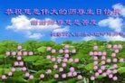 ֹ,ʡ󷨵ӹ編ִʦ𻪵(20)