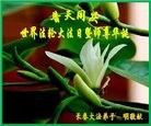 ֹ,ʡ󷨵ӹ編ִʦ𻪵(18)