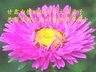 ֹ,󷨵ӹ編ִʦ𻪵(22)