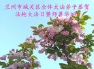 ֹ,󷨵ӹ編ִʦ𻪵(18)