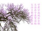 ֹ,󷨵ӹ編ִʦ𻪵(18)